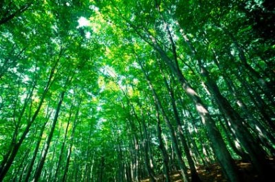 Nicht nur die Natur ist wichtig, sondern auch die Menschen.